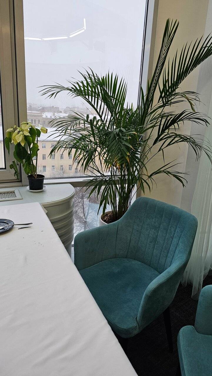 Фото Гостиницы Амбассадор Санкт-Петербург 202